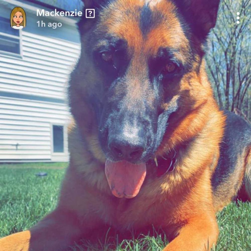 Meet your Posher, Kim